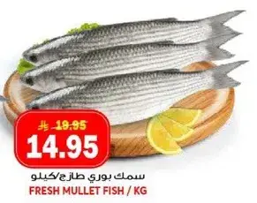 سمك بوري طازج/كيلو