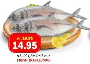 سمك ترفالي كيلو