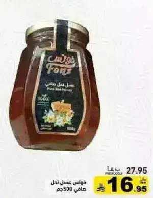 Fons Pure Honey 500g