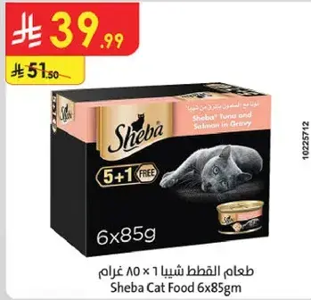 طعام شيا للقطط 6 × 85 غرام