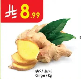 زنجبيل / كيلو