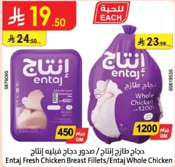 دجاج طازج انتاح / صدور دجاج فيليه انتاح