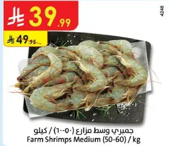 جمبري وسط مزرعه (50-60) / كيلو