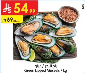 Green Lipped Mussels / kg