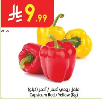 فلفل رومي اصفر / احمر (كيلو)