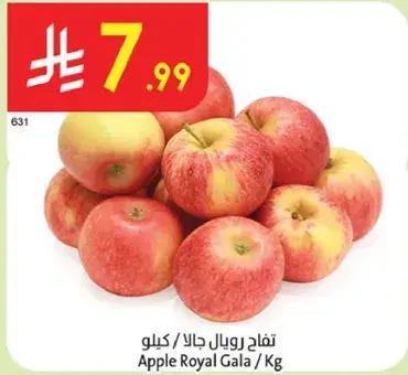 تفاح رويال جالا / كيلو