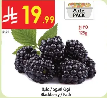 Blackberry / Pack