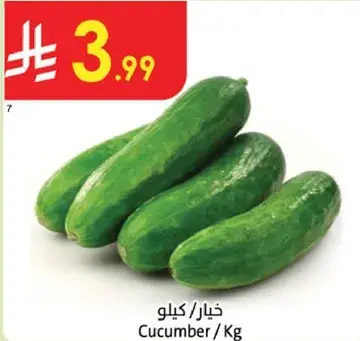 Cucumber / Kg