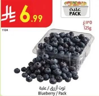 Blueberry / Pack