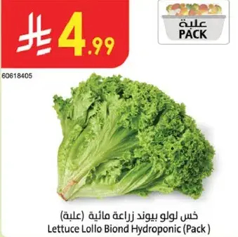 Lettuce Lollo Biond Hydroponic / Pack