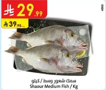 Shaour Medium Fish / Kg