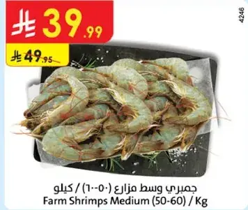 جمبري وسط مزارع (50-60) كيلو