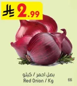 بصل احمر / كيلو