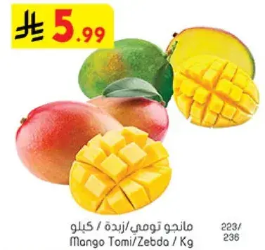 Mango Tomi/Zebda