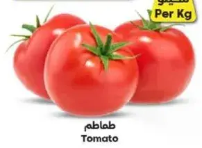طماطم
