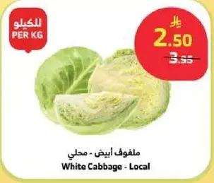 White Cabbage - Local