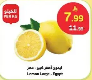 ليمون اكبر - مصر