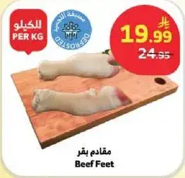 مقادام بقر