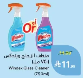 منظف الزجاج ويندكس (750 مل)