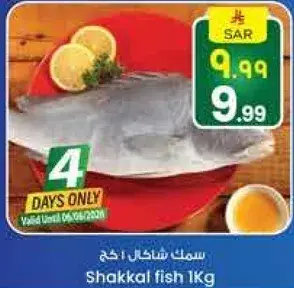 سمك شاكال 1 كغ