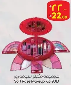 مجموعه مكياج روز.
