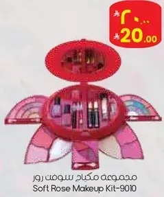 مجموعه مكياج روز.