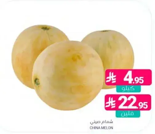 شمام صيني