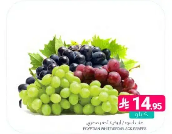 عنب اسود/ابيض/احمر مصري