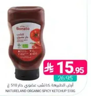 Natureland Organic Spicy Ketchup 510g