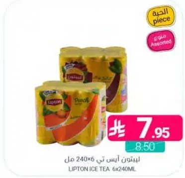 ليبتون ايس تي 6×240 مل
