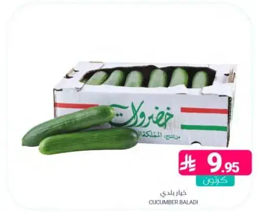 خيار بلدي.
