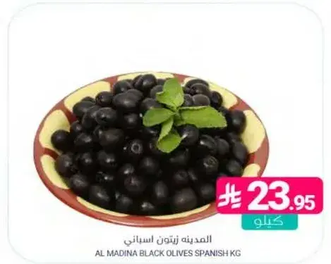 المدينه زيتون اسود اسباني