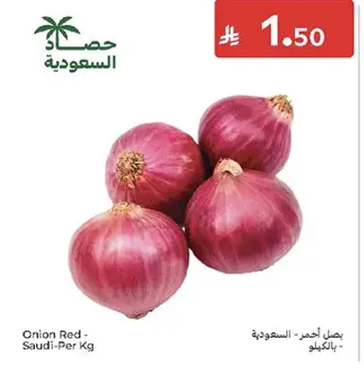 Onion Red - Saudi - Per KG