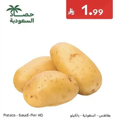 Potato - Saudi - Per KG