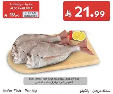 Kofer Fish - Per Kg