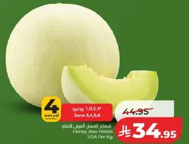 شمام العسل امريكي للكيلو