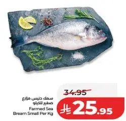 Farmed Sea Bream Small Per Kg