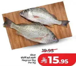 Nagroor Big Per Kg