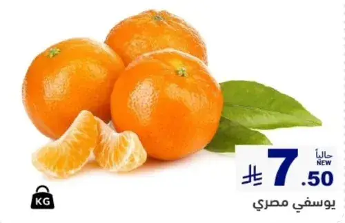 Egyptian oranges