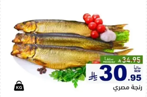 Egyptian smoked fish