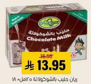 ريان حليب بالشوكولاته ١٠ مل × ٢٤٠.