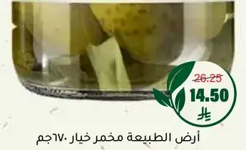ارض الطبيعه مخلل خيار 670جم.