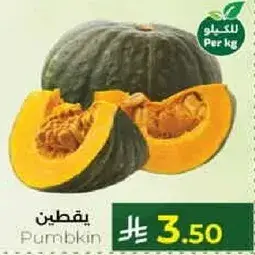 يقطين