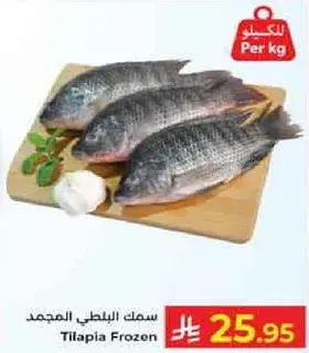 سمك البلطي المجمد