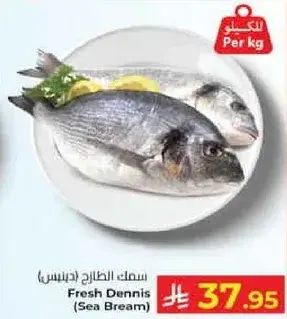 سمك الدنيس