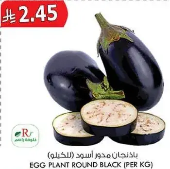 باذنجان مدور اسود (بالكيلو)