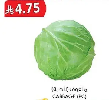 ملفوف (قطعه)