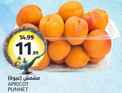 مشمس (عبوه)