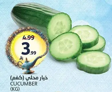 خيار محلي (كغم)