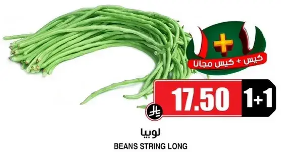 لوبيا
